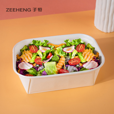Het wegwerpproduct haalt het Document van Saladekraftpapier Kommen met HUISDIERENdeksel weg