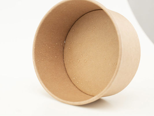 Duurzame Aangepaste Kraftpapier-Document Soepkommen met Deksels voor Heet en Koud Voedsel
